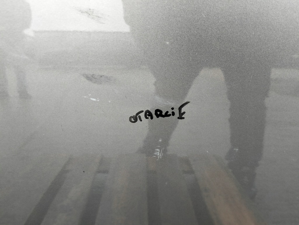 фото №8, Дверь левая задняя kia carens iii 3 lata 2006-2012 оригинал лак im