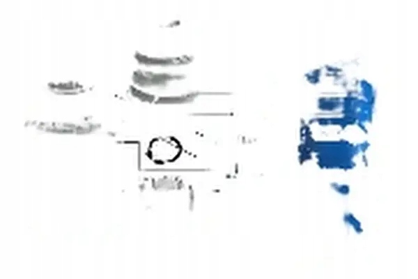 фото №1, Шарнір піввісь 624030 gsp hyundai coupe elantra