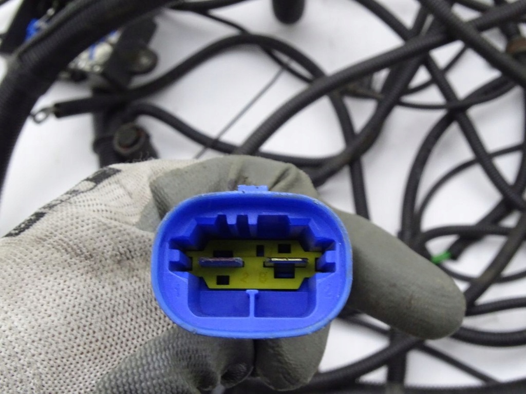 фото №10, Iveco eurocargo iii 06-15 жгут рамы компьютер