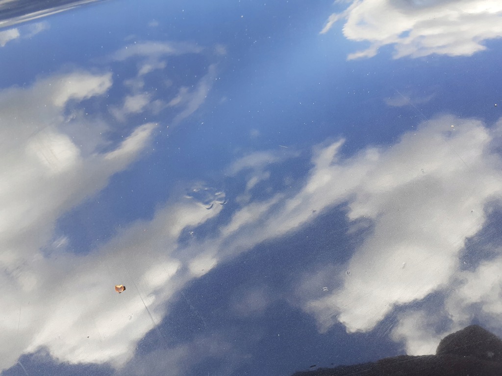 фото №5, Двері ліва задня bmw e53 x5 475/9