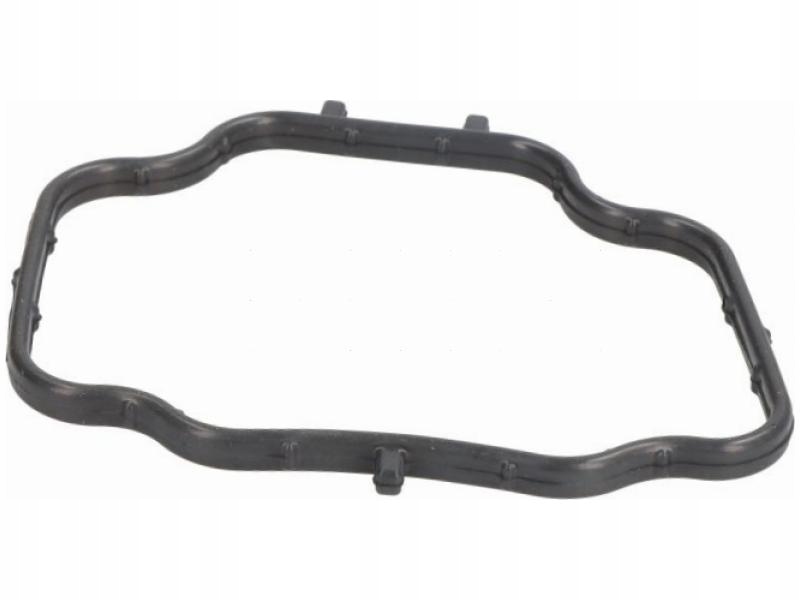 фото №3, Прокладка термостата