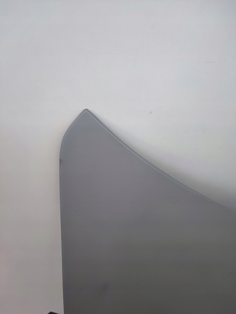 фото №8, Капот ferrari roma f169