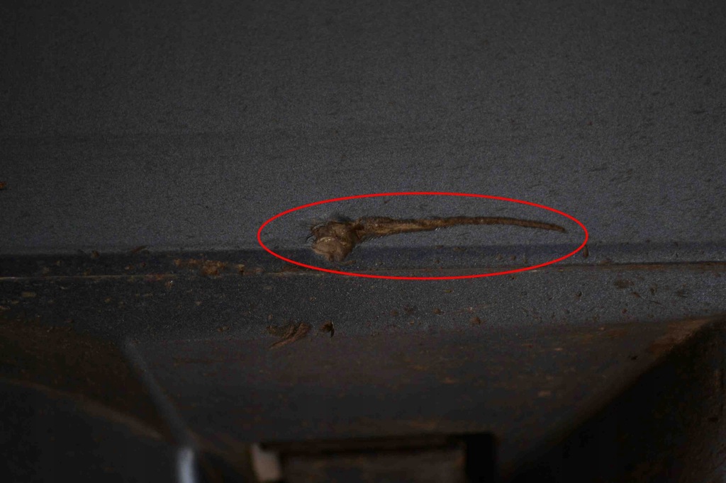 фото №9, Накладка порог левая vw passat variant b8 3g5 3g0853857 20502682 2.0l