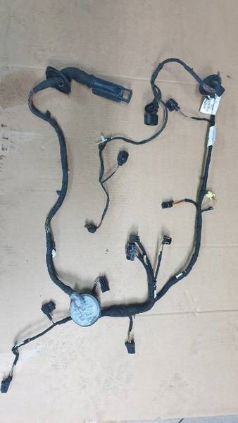 фото №1, Джгут двері лівий перед a7 4g8 971 029 cj