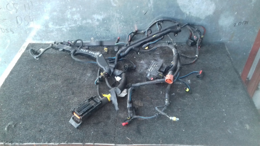 фото №1, Джгут електропроводка 00552693100 jeep compass ii 2.0