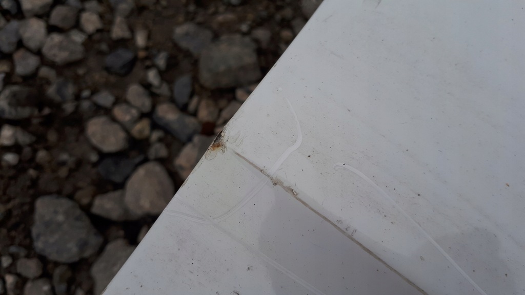 фото №8, A4 b8 s4 lift двері праве перед передні ly9c