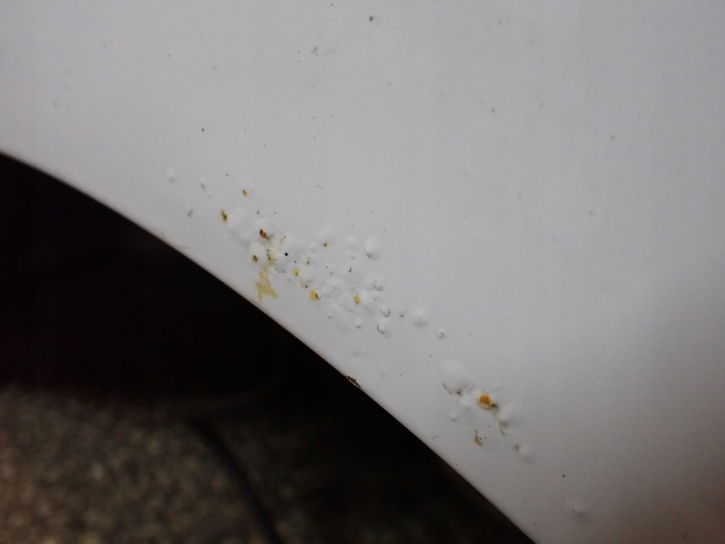 фото №15, Крыло пол четверть задняя правая dacia dokker 2018r ice white bc ov369