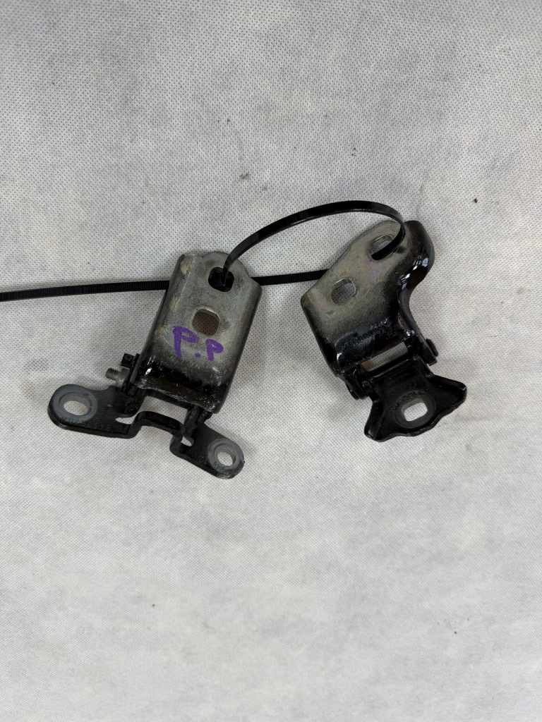 фото №1, Петли дверь правый перед renault austral tegne