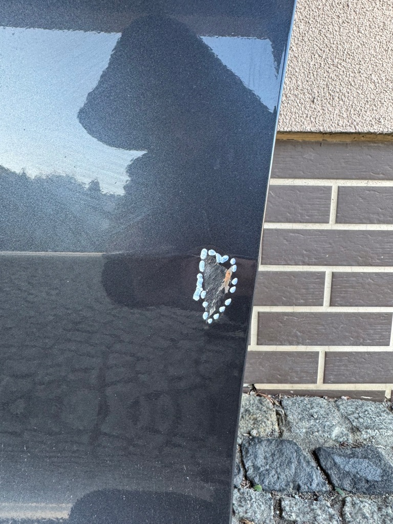 фото №11, Двері лівий перед передні kia niro