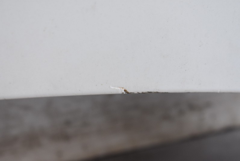 фото №6, Капот крышка двигателя белый nissan murano z50 03-08