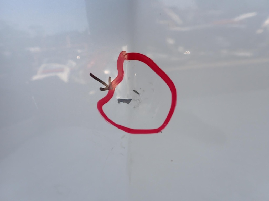 фото №10, Subaru legacy v 5 outback iv 4 09-14 капот крышка двигателя