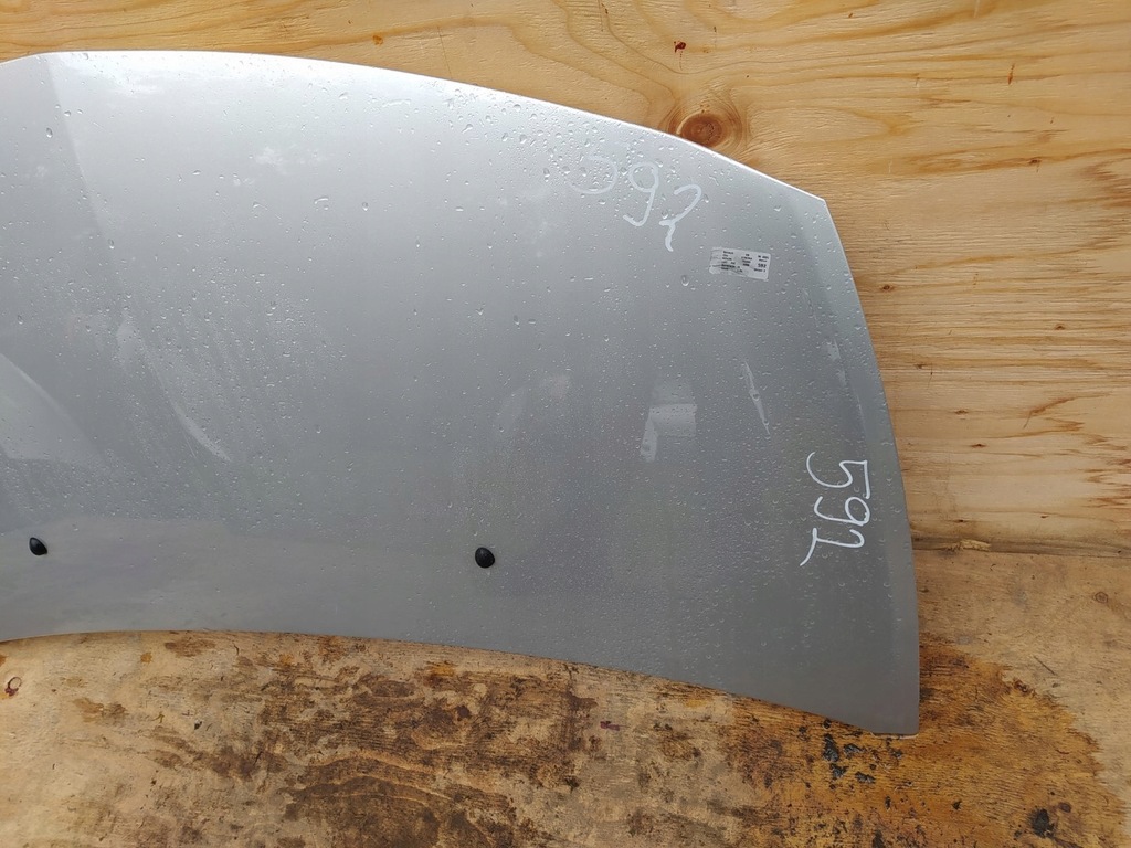 фото №8, Renault clio iii капот ted69