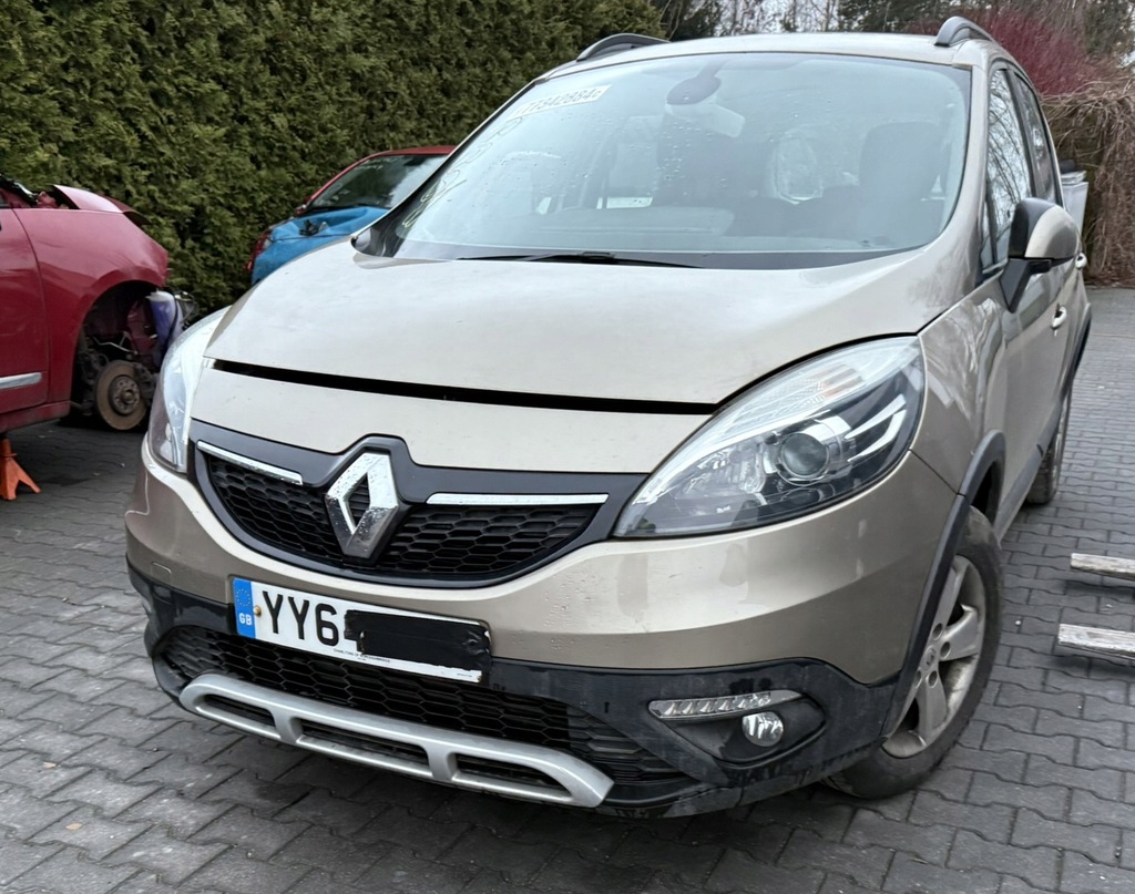 фото №8, Scenic iii 3 x-mod дверь левая полный цвет tehnp