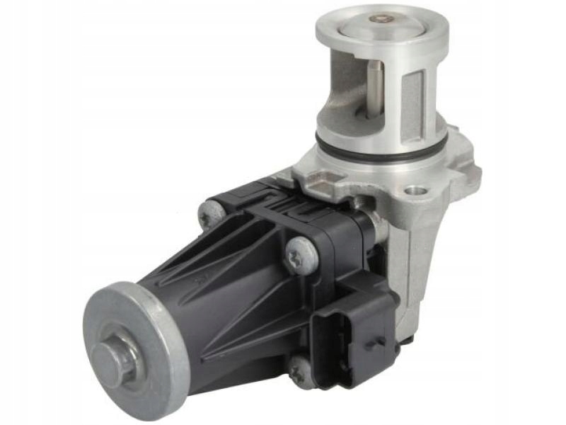 Купити Клапан egr 7.02209.20.0/pie