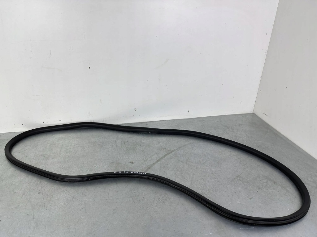 фото №1, Citroen c4 spacetourer 2018 задня сторона ліва ущільнювачі