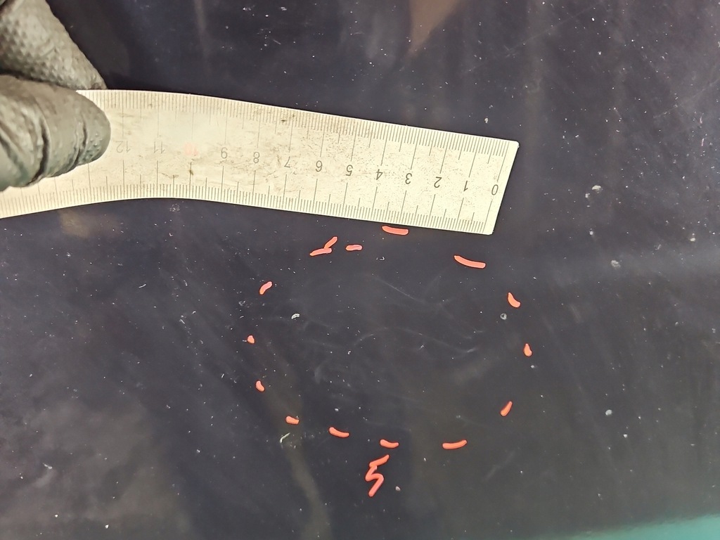 фото №7, Капот передняя vw golf iv -