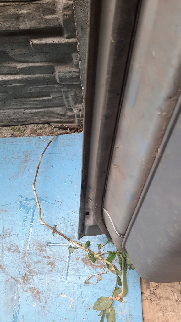 фото №16, Двері лівий задня kia carens 03r kombi