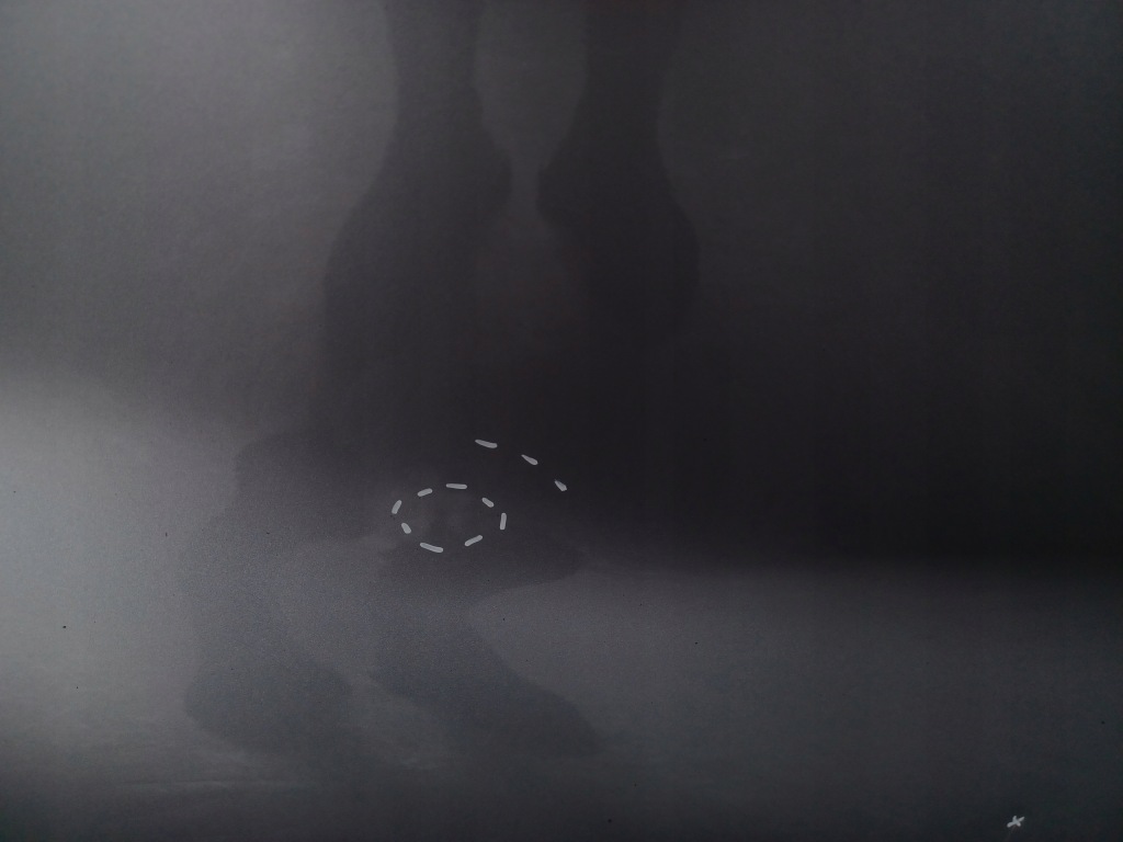 Дверь ----- задняя правое  задняя правый  ----- lexus rx v ---- 2023- с Разборки