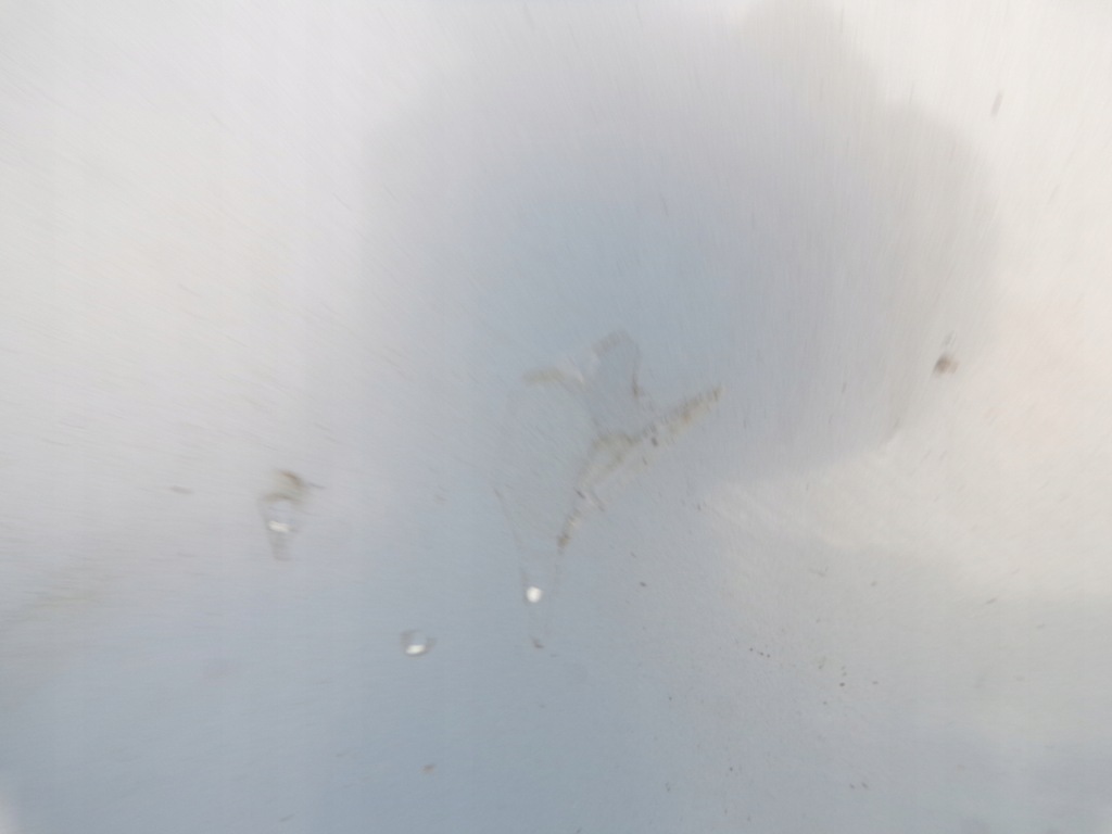 фото №8, Капот крышка двигателя seat ibiza 3 iii 6l цвет ls5t