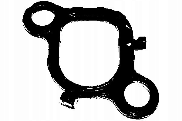 фото №8, Elring 016.961 прокладка, колектор впускний