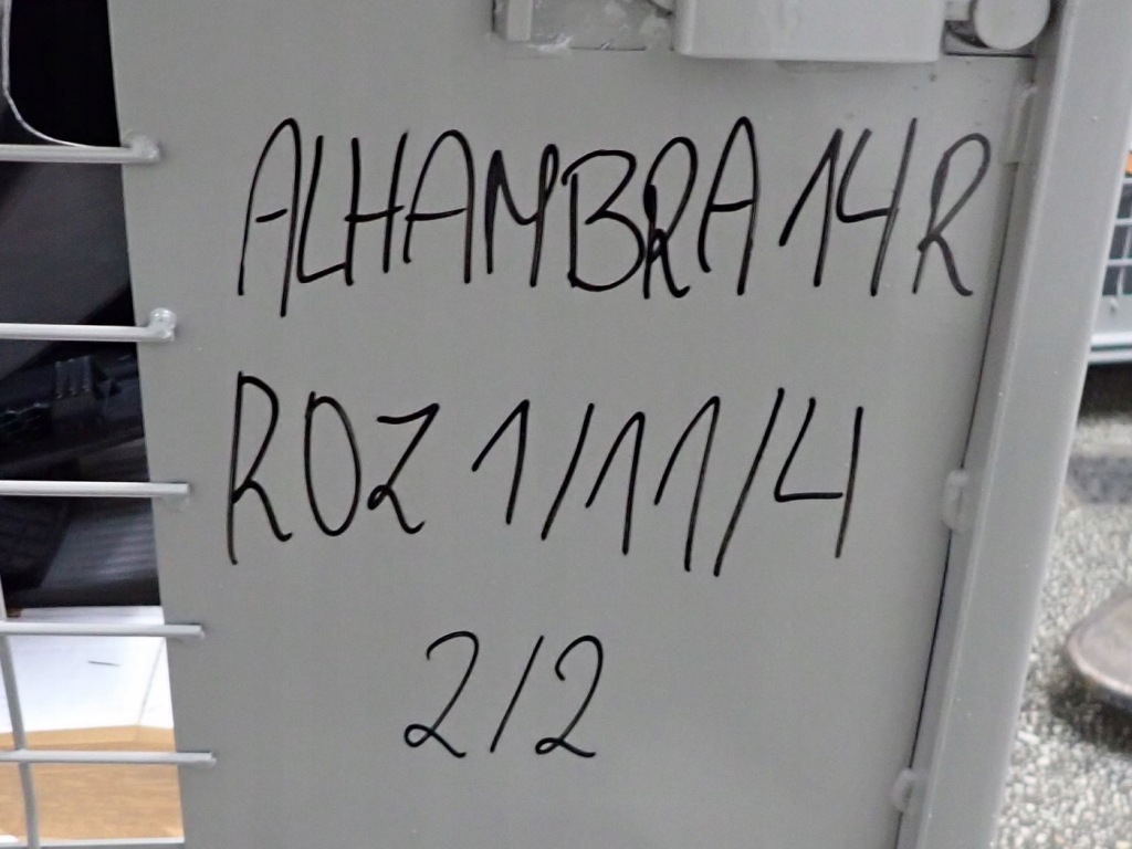 Комплект сидений европа оригинал 7-osób alhambra sharan 2 7n 14r с Разборки