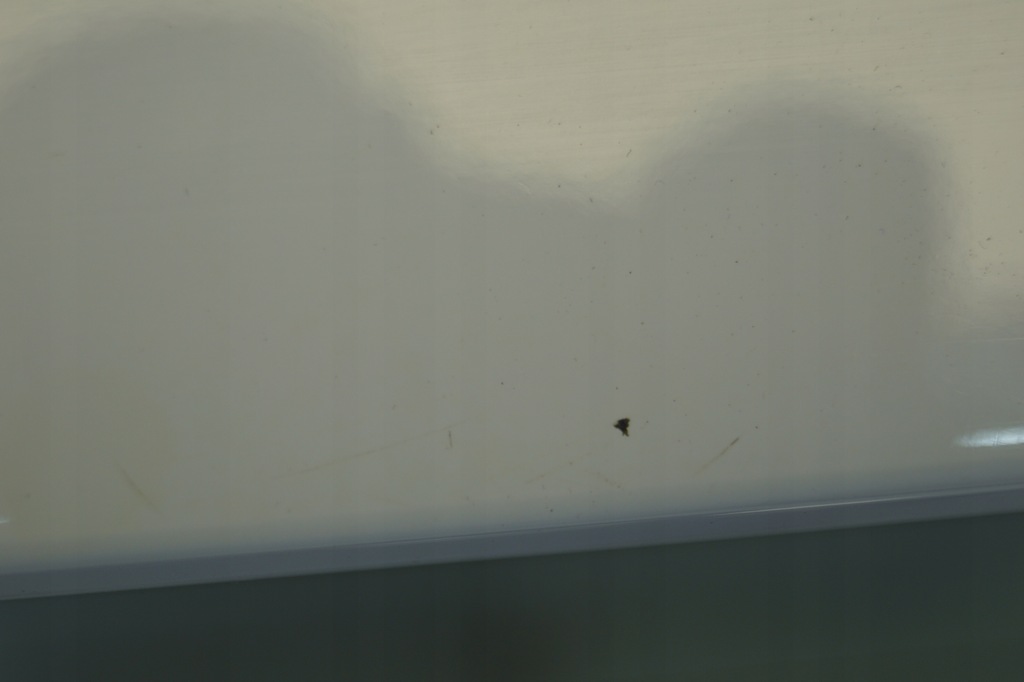 фото №5, Кришка багажника багажника chevrolet aveo t300