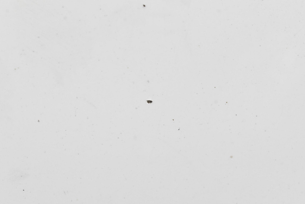 фото №7, Капот кришка двигуна alpinweiss iii 300 bmw f20 11-15