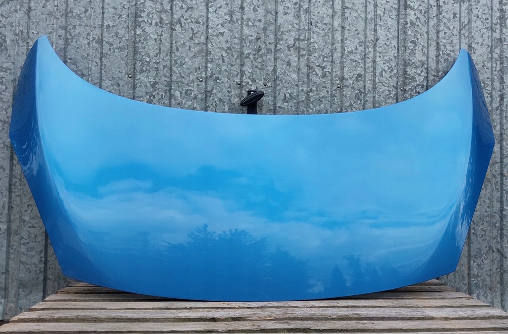 фото №3, Капот renault scenic iii lift terpb