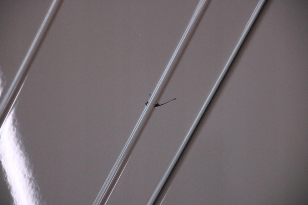 фото №9, Bmw ix i20 lci бампер передний перед m-pakiet pdc жгут kompletny c7a usa