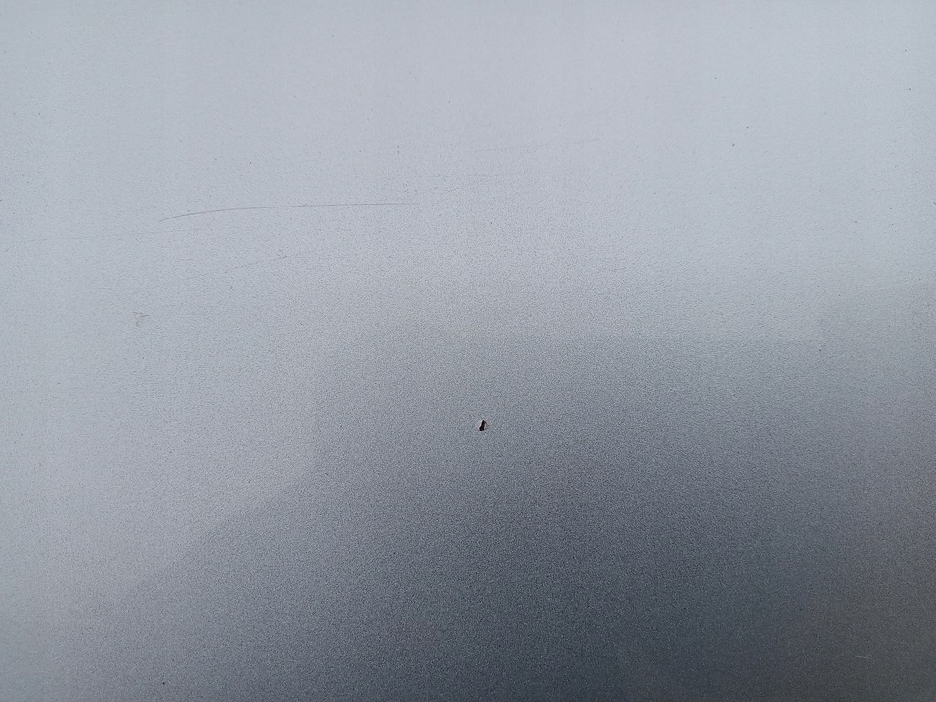 фото №15, Двері праве задні audi q5 8r сріблястий lx7w