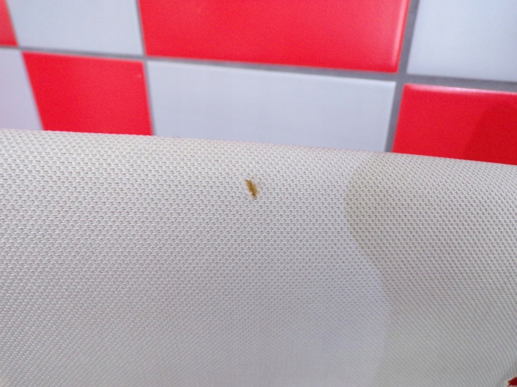 фото №10, 5c6867506p стеля vw jetta 5t5 2011-2018r