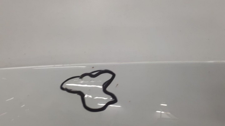 фото №5, Renault kangoo 2008 капот