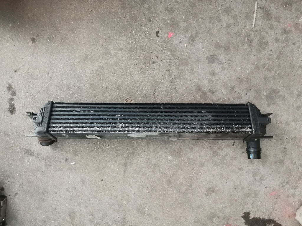 фото №1, Laguna iii интеркулер 2.0dci 144610001n