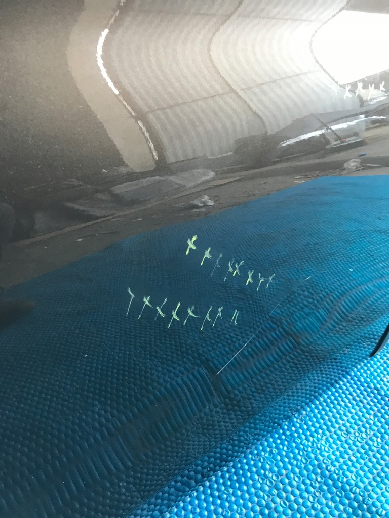 фото №7, Двері лівий задня ліва tyknie mercedes w213 kombi