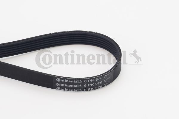 Купить Mini r56 дизель with a c генератор belt 6pk976 continental oem 11287798112