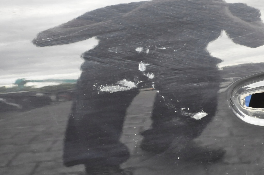 фото №13, Citroen c4 picasso ii двері лівий перед