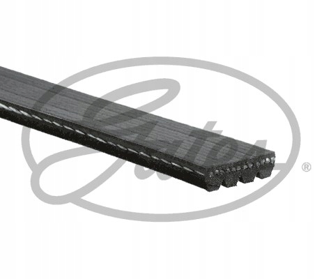 фото №3, Ремень многоручьевой /gates/ nissa