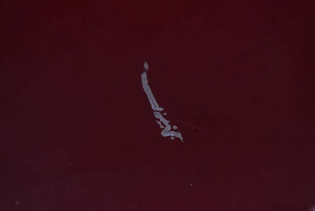 фото №5, Стекло кузовная левая задняя средняя renault trafic 2 ii 01-06