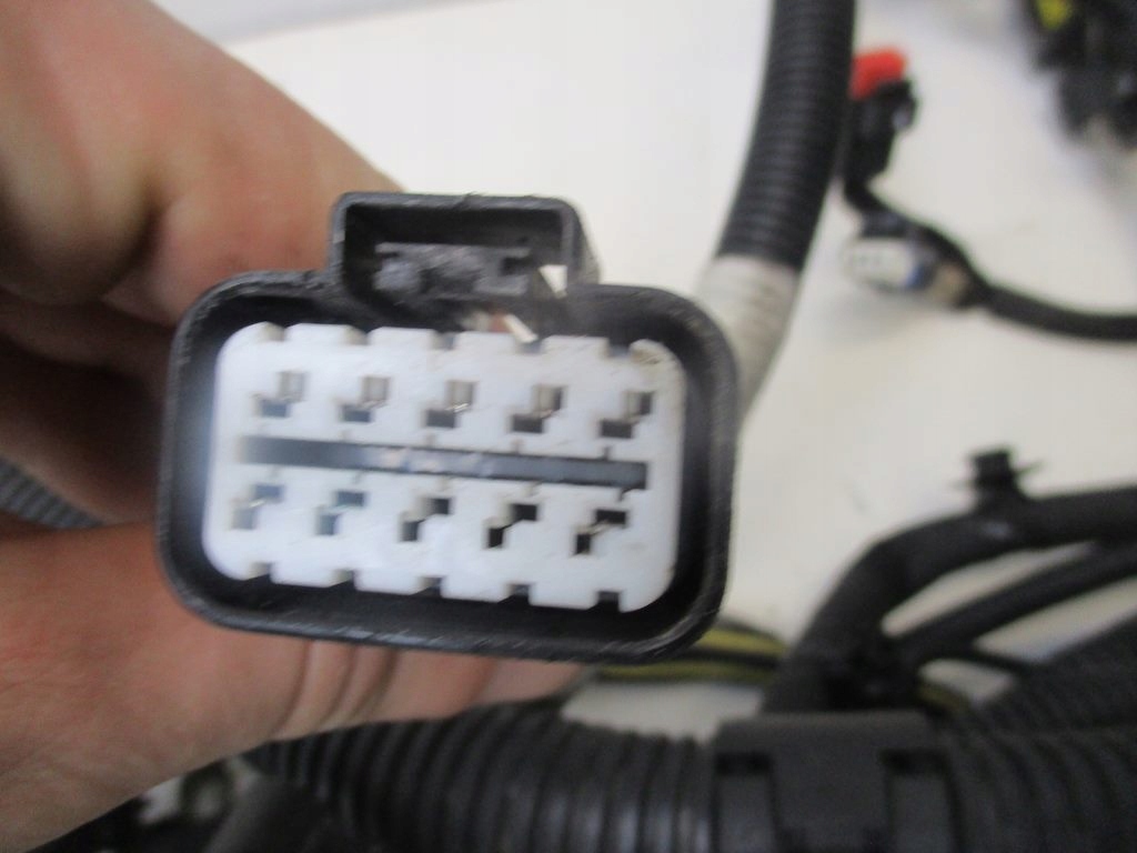 фото №8, Электропроводка двигателя автоматическая коробка передач outlander ii 2.2 did