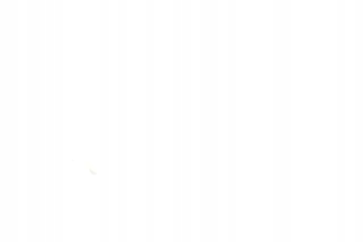 фото №10, Отбойник амортизатора задняя febest nd-021