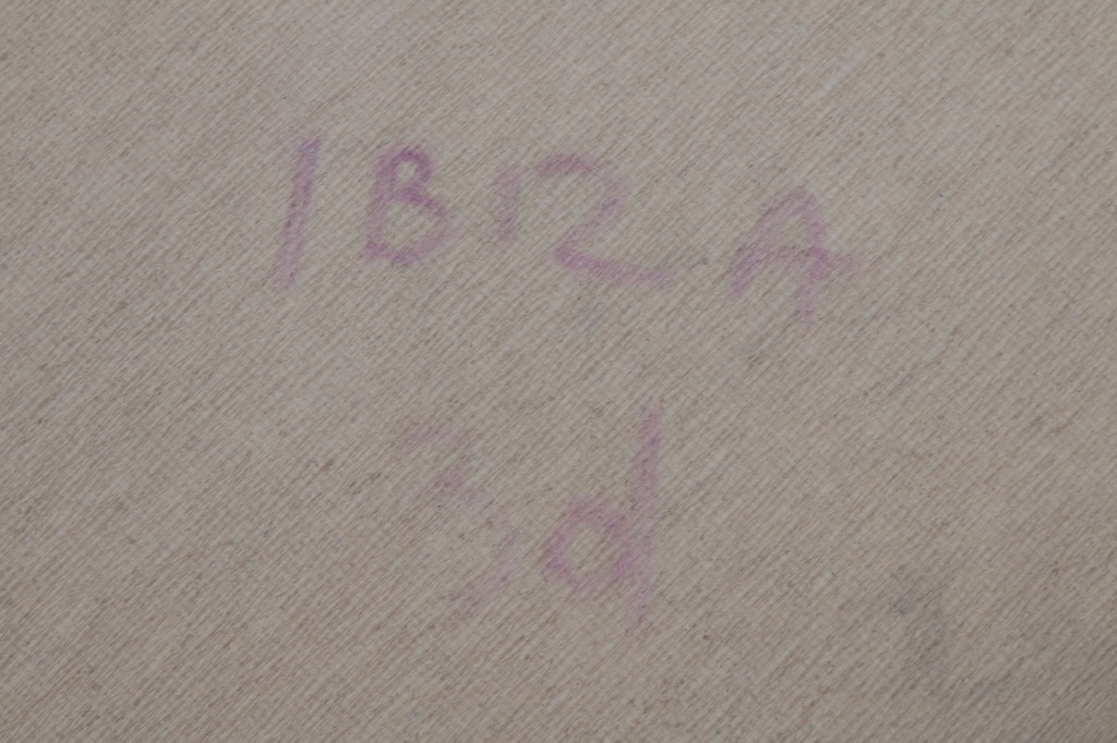 фото №10, Потолок seat ibiza iv 3d