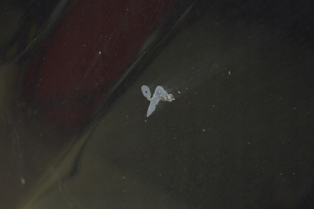 фото №5, Капот кришка двигуна 452-26 volvo xc70 00-05