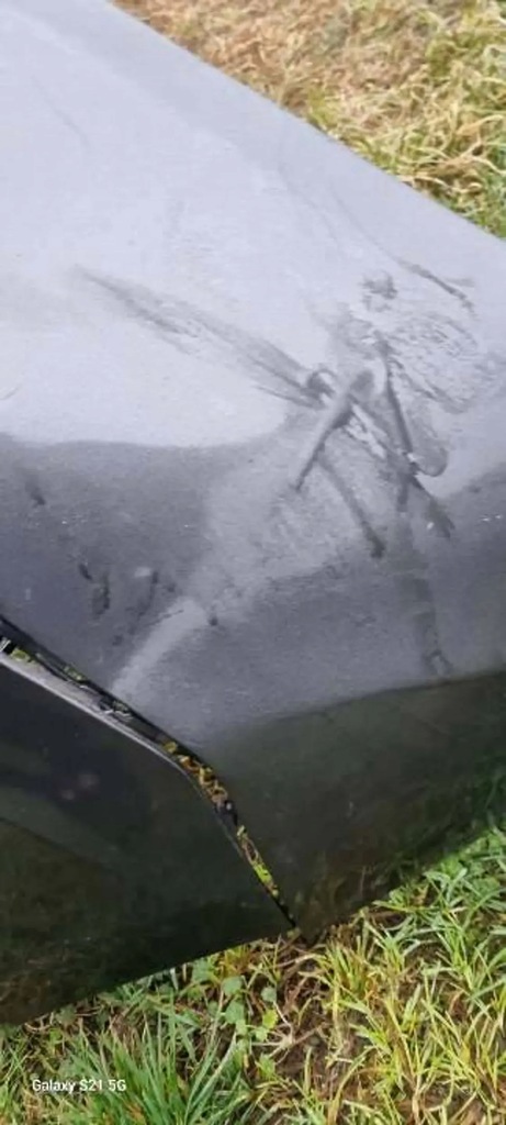 фото №9, Бампер передний перед ford transit custom 2013