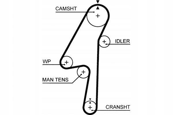 фото №2, Gat5580xs ремінь розподільного валу volvo c30, c70 ii, s40 ii