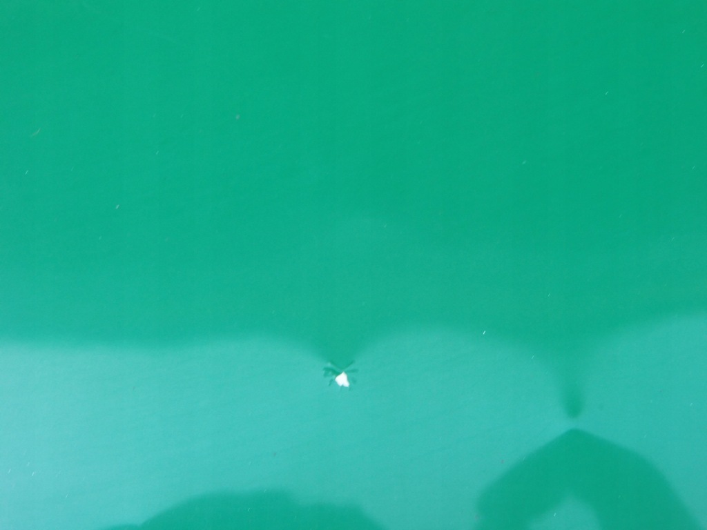 фото №6, Крышка багажника бардачка кабины левая scania r xpi 400 440