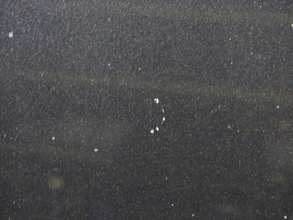 фото №8, Капот крышка двигателя audi a3 8p 8p0 2003-2005 - lz9w