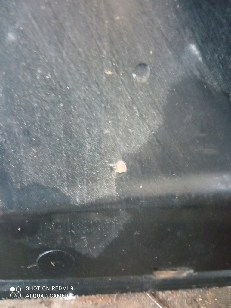 фото №8, Fiat fiorino дверь левая передние