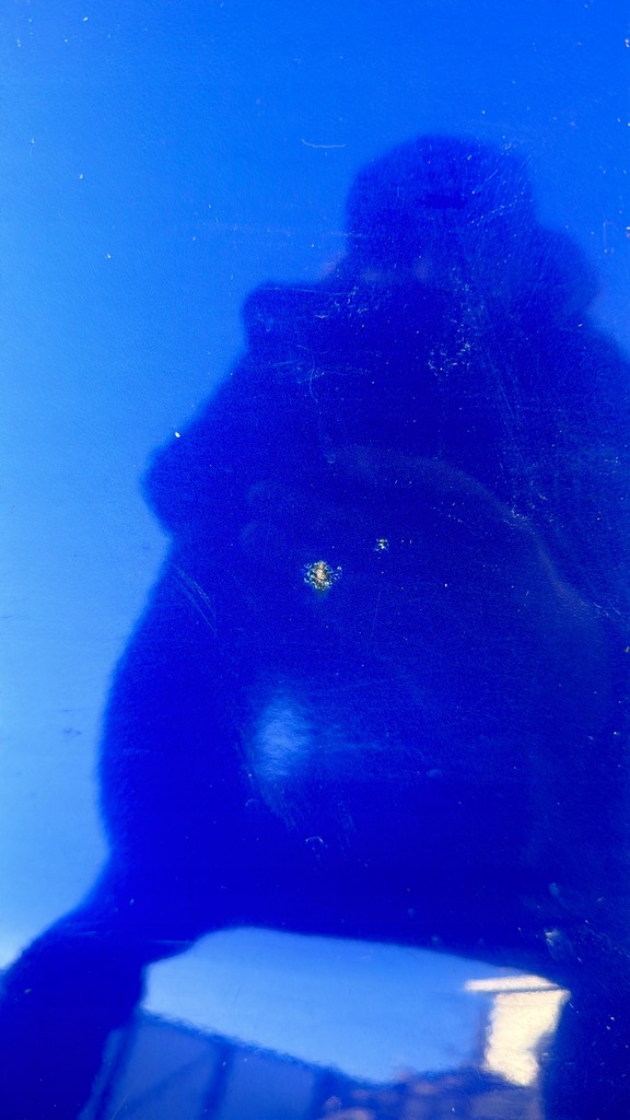 фото №11, Seat ibiza 00r lift кришка багажника багажника ls5n