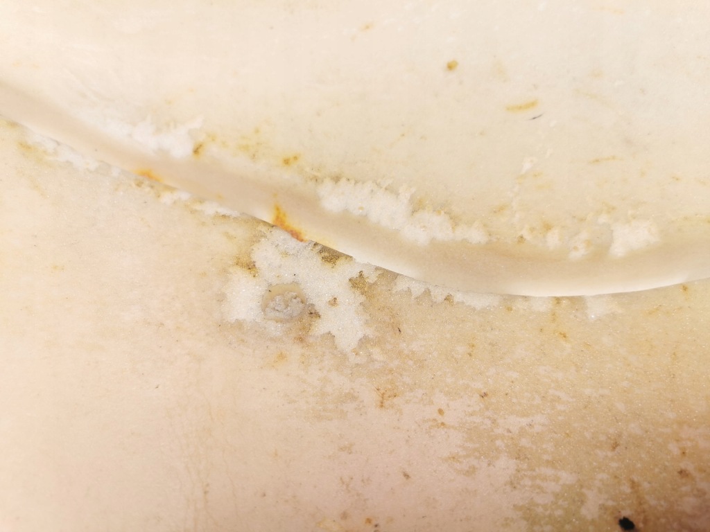 Губка спинка сиденье ford оригинальный номер 1004258 Недорого