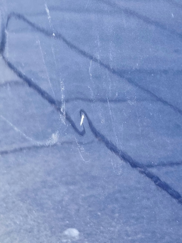 фото №13, Berlingo partner 18- двері ліва зсувні